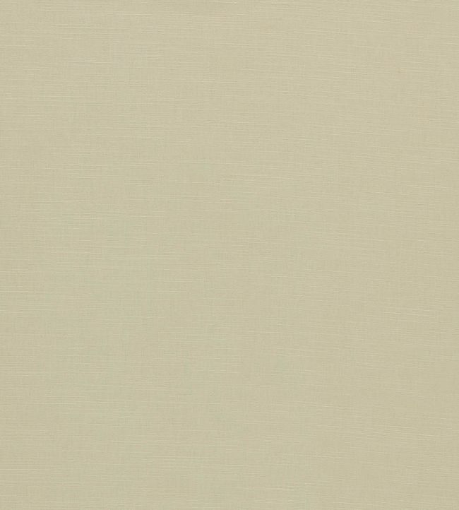 Paradiso Fabric by Clarke & Clarke Natural