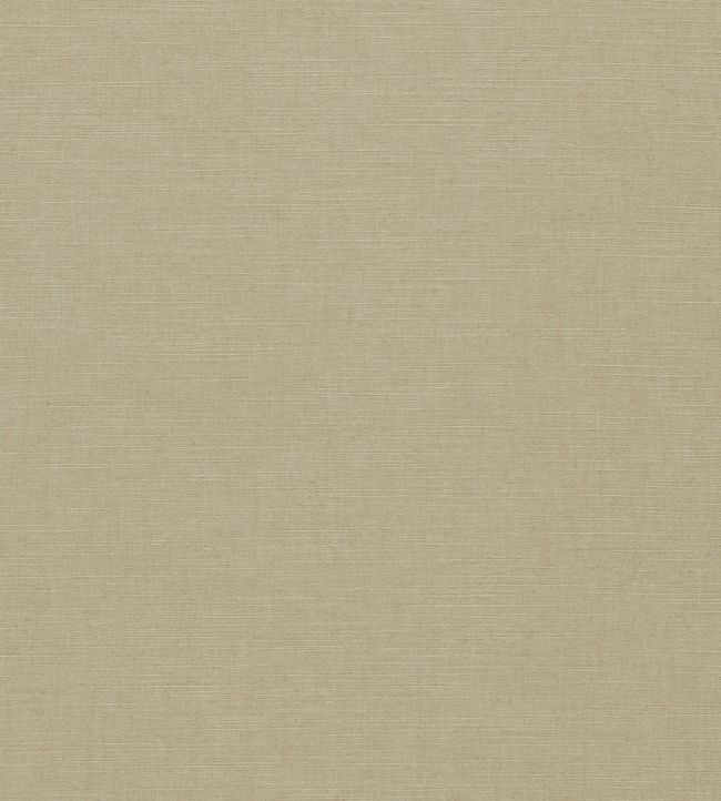 Paradiso Fabric by Clarke & Clarke Oatmeal