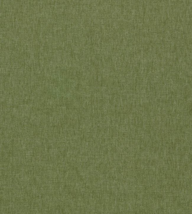 Paradiso Fabric by Clarke & Clarke Olive