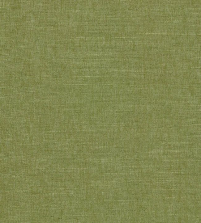 Paradiso Fabric by Clarke & Clarke Palm