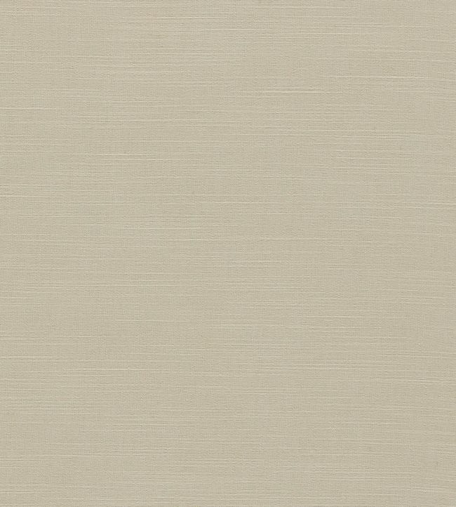 Paradiso Fabric by Clarke & Clarke Pebble