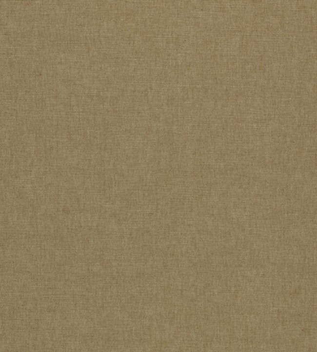Paradiso Fabric by Clarke & Clarke Sesame