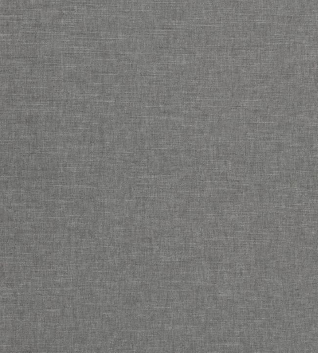 Paradiso Fabric by Clarke & Clarke Storm