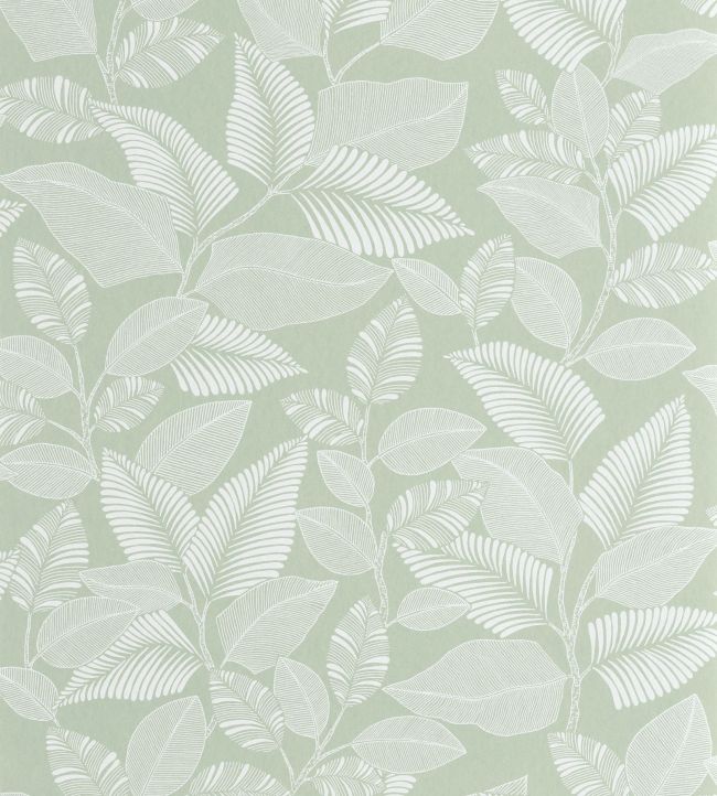 Paraty Wallpaper by Casadeco Vert Celadon