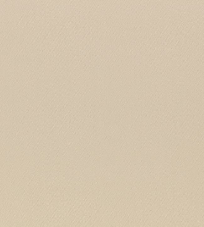 Paraty Fabric by Zinc Shingle