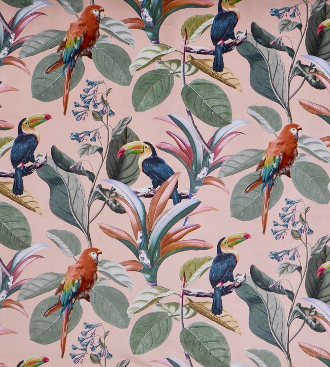 Parrot Fabric by Prestigious Textiles Coral