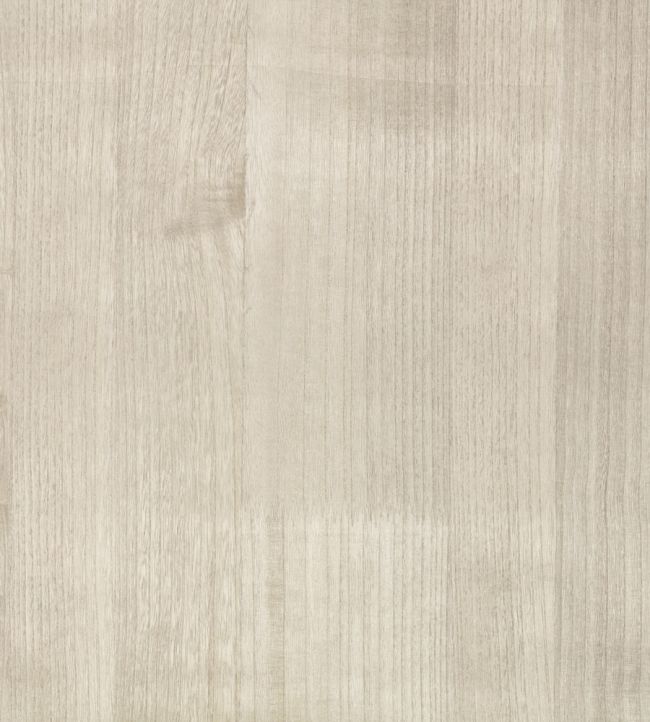 Paulownia Wallpaper by Zinc Moonbeam