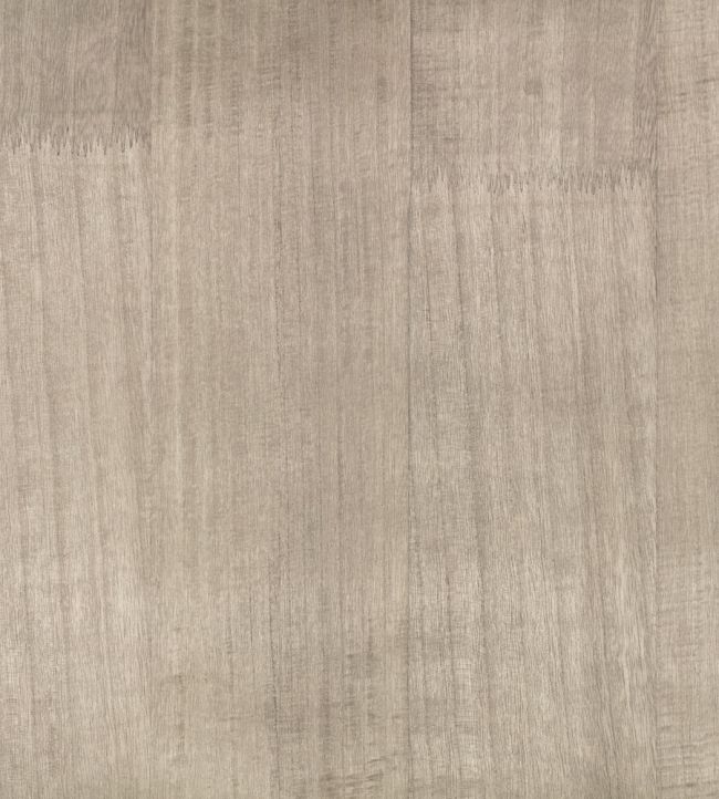 Paulownia Wallpaper by Zinc Silver Grey