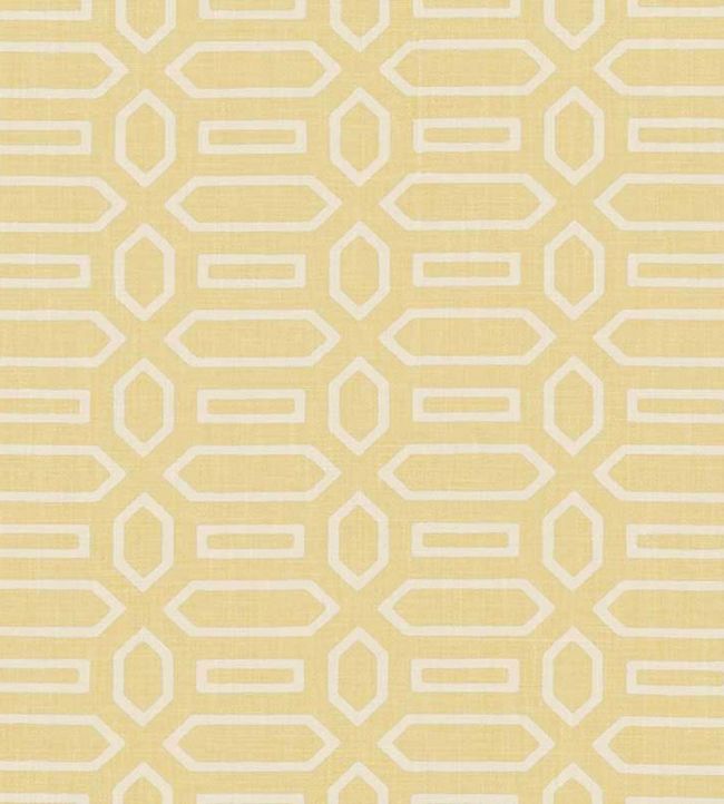 Pavilion Fabric by Schumacher Straw
