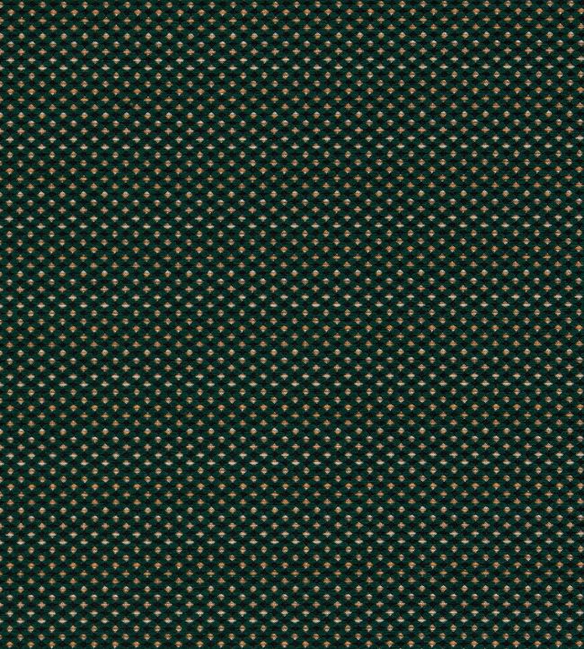 Pavo Fabric by Clarke & Clarke Forest