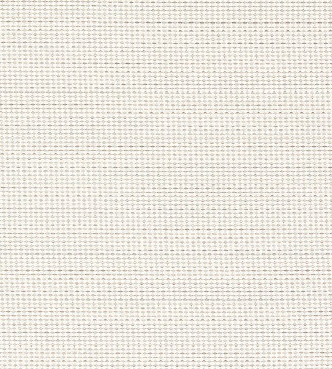 Pavo Fabric by Clarke & Clarke Natural