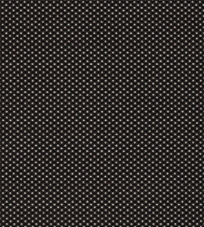 Pavo Fabric by Clarke & Clarke Noir