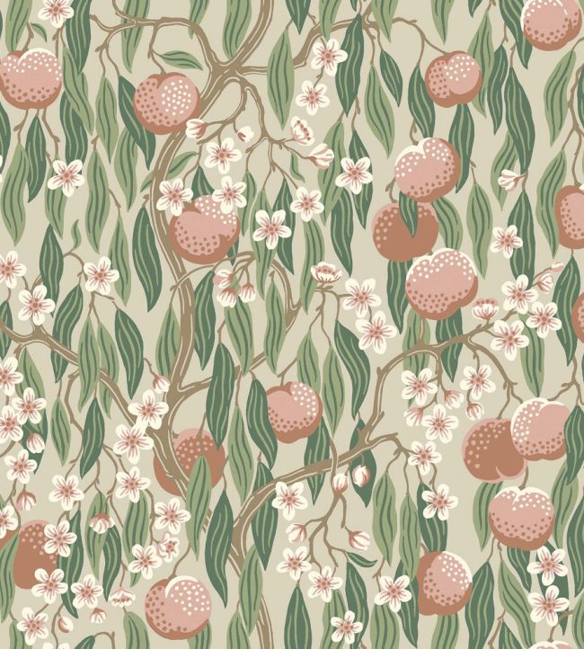 Persikotrad Wallpaper by Borastapeter Peach