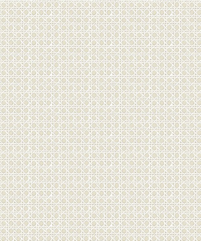 Petit Rattan Wallpaper by Madeaux 01 Stone