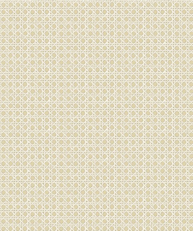 Petit Rattan Wallpaper by Madeaux 02 Sand