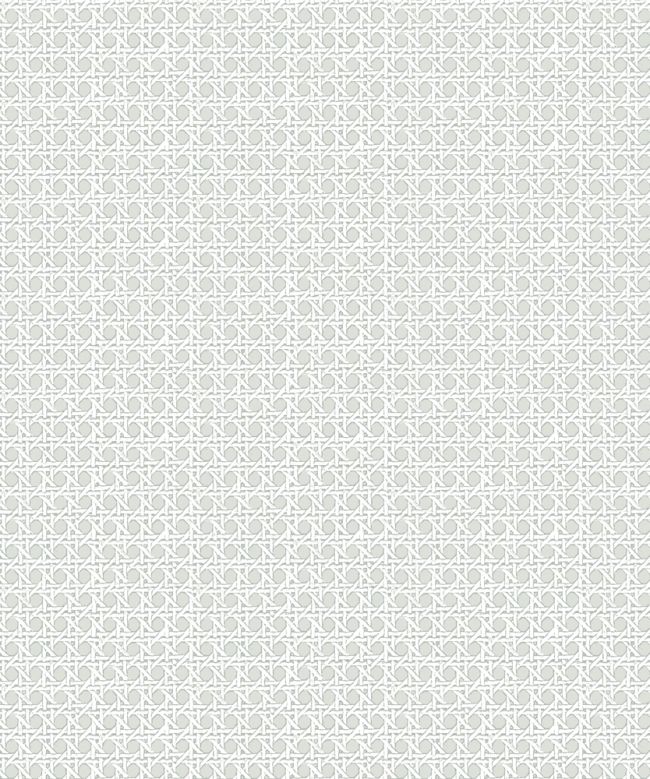 Petit Rattan Wallpaper by Madeaux 03 Glacial