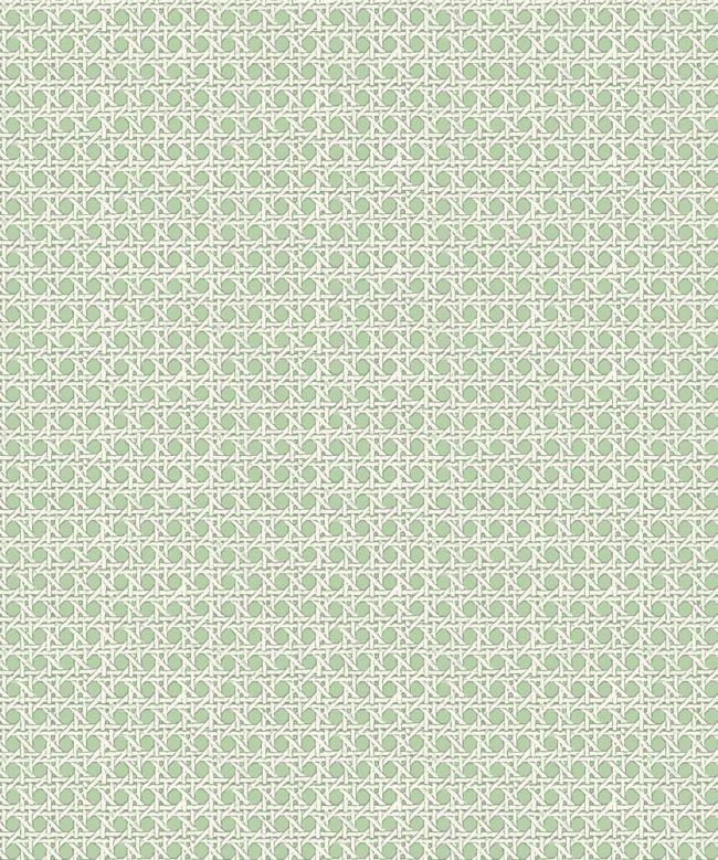 Petit Rattan Wallpaper by Madeaux 05 Jade