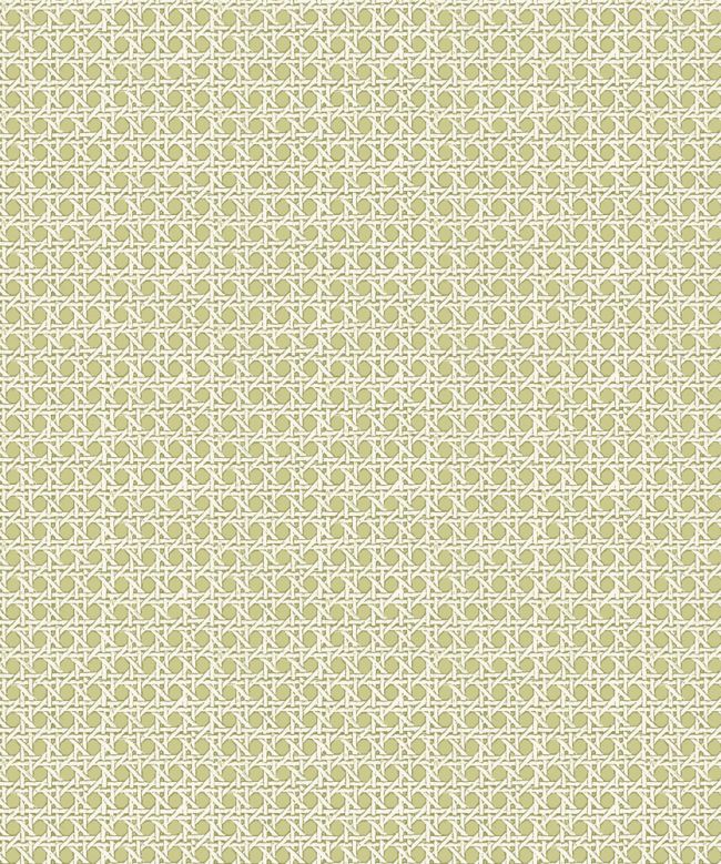 Petit Rattan Wallpaper by Madeaux 06 Fennel