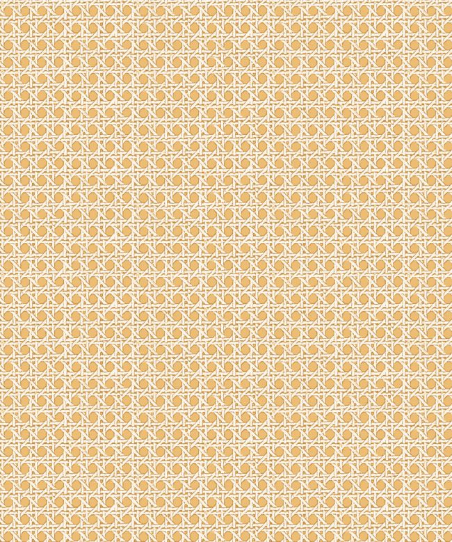 Petit Rattan Wallpaper by Madeaux 08 Butternut