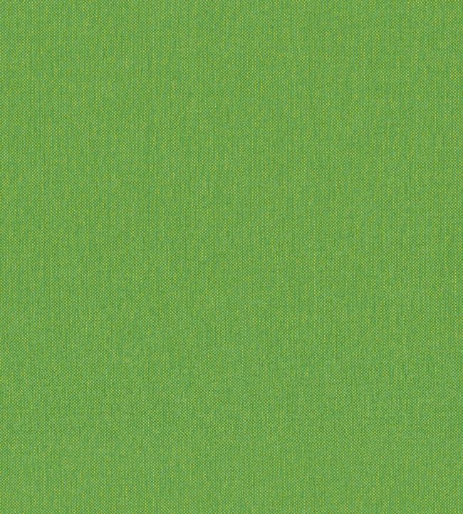 Petits Points Wallpaper by Jannelli&Volpi Green