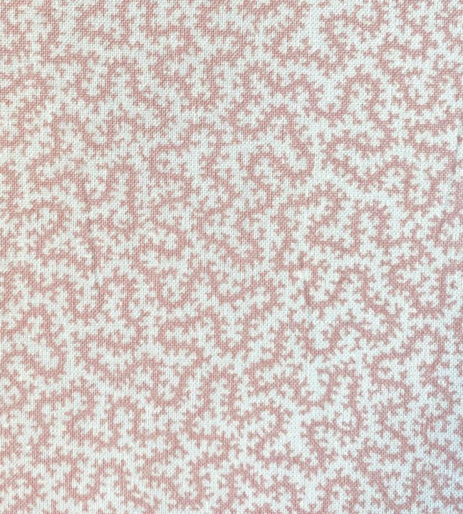 Petra Fabric by Ian Sanderson Bisque