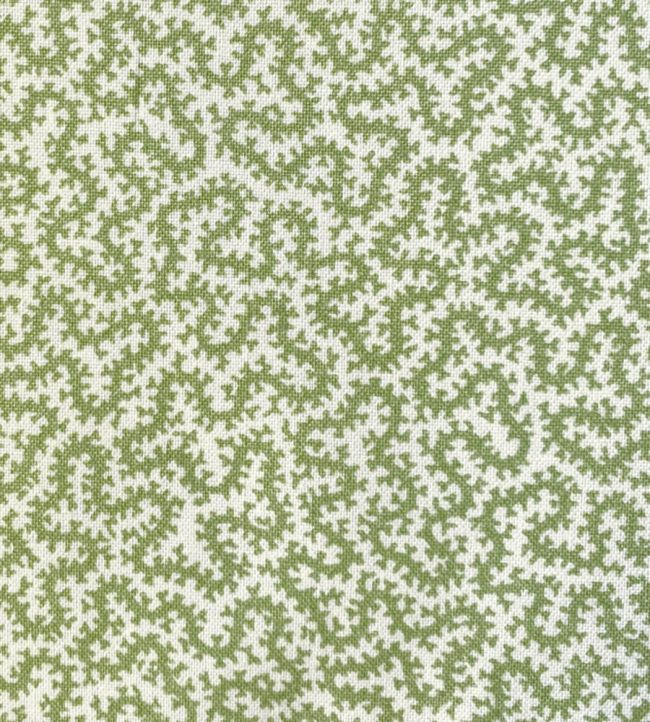 Petra Fabric by Ian Sanderson Comfrey