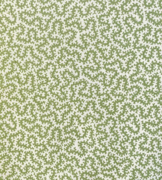 Petra Fabric by Ian Sanderson Comfrey
