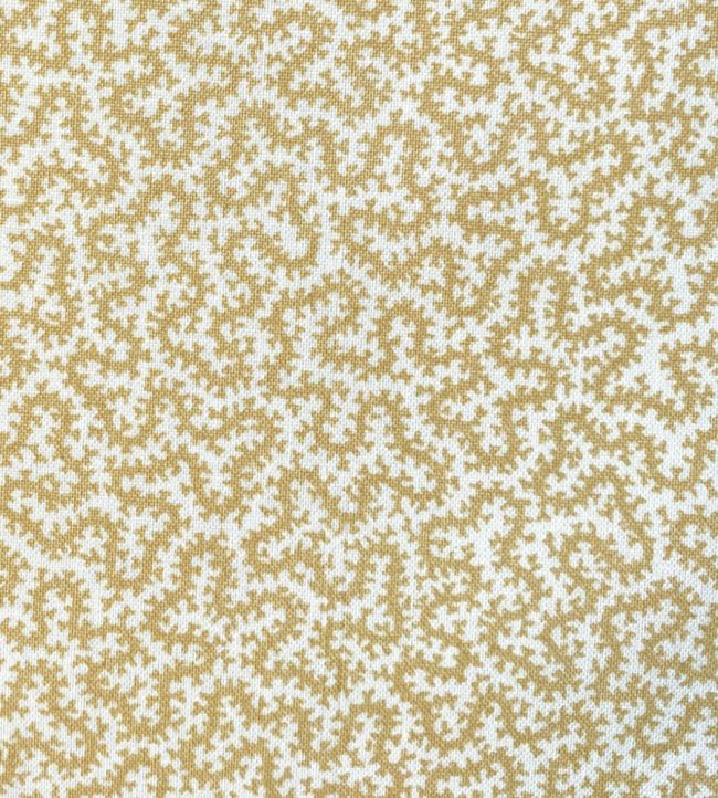 Petra Fabric by Ian Sanderson Popcorn