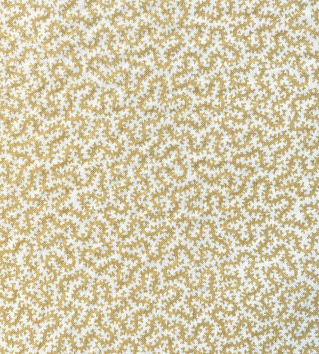 Petra Fabric by Ian Sanderson Popcorn