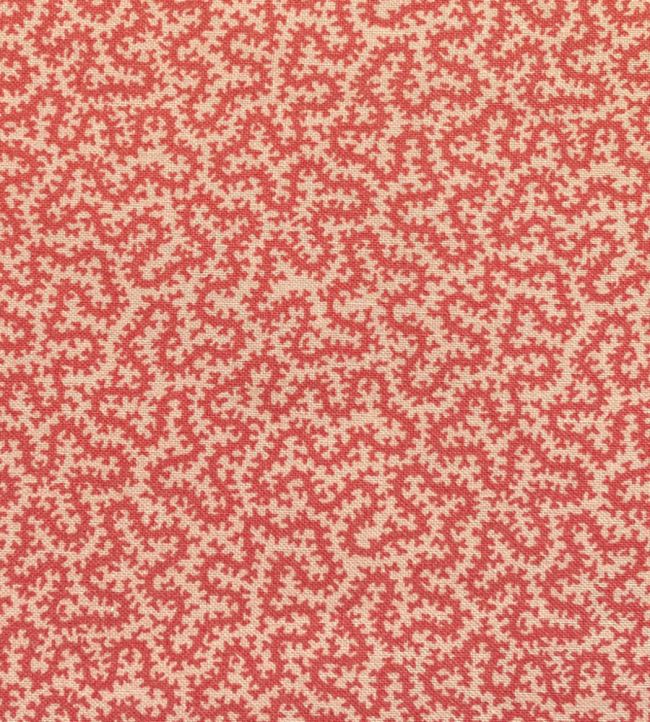 Petra Fabric by Ian Sanderson Strawberry