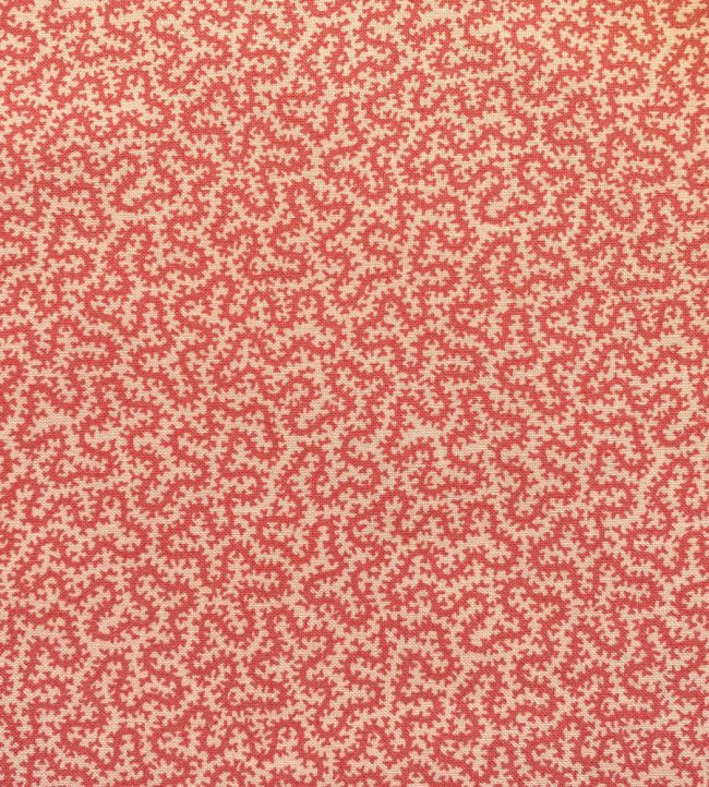 Petra Fabric by Ian Sanderson Strawberry