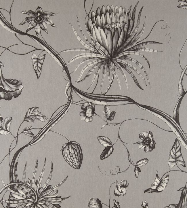 Phaedra Wallpaper by Zoffany Silver
