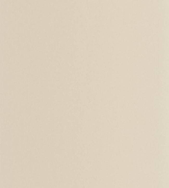 Pigments Wallpaper by Casadeco Beige Lin
