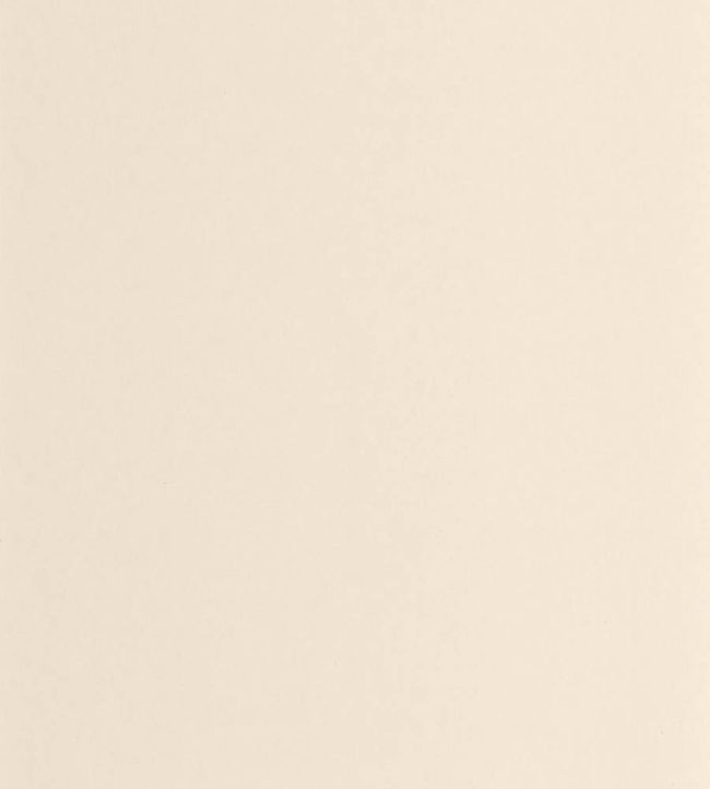 Pigments Wallpaper by Casadeco Ficelle