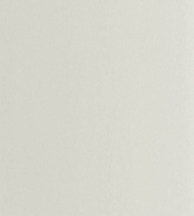 Pigments Wallpaper by Casadeco Grege