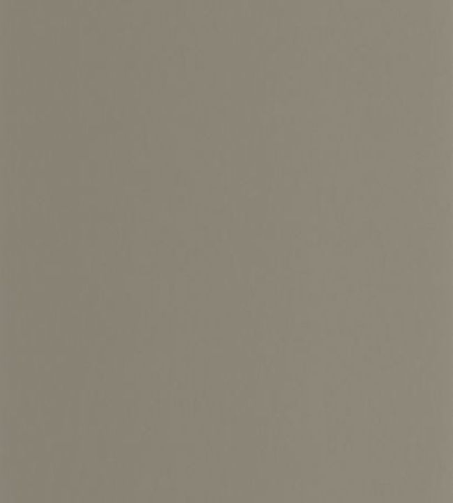 Pigments Wallpaper by Casadeco Gris Elephant