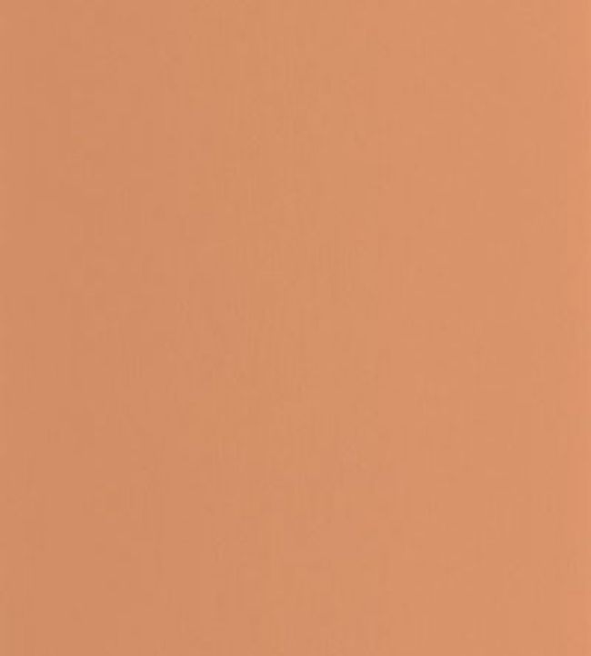 Pigments Wallpaper by Casadeco Terracotta