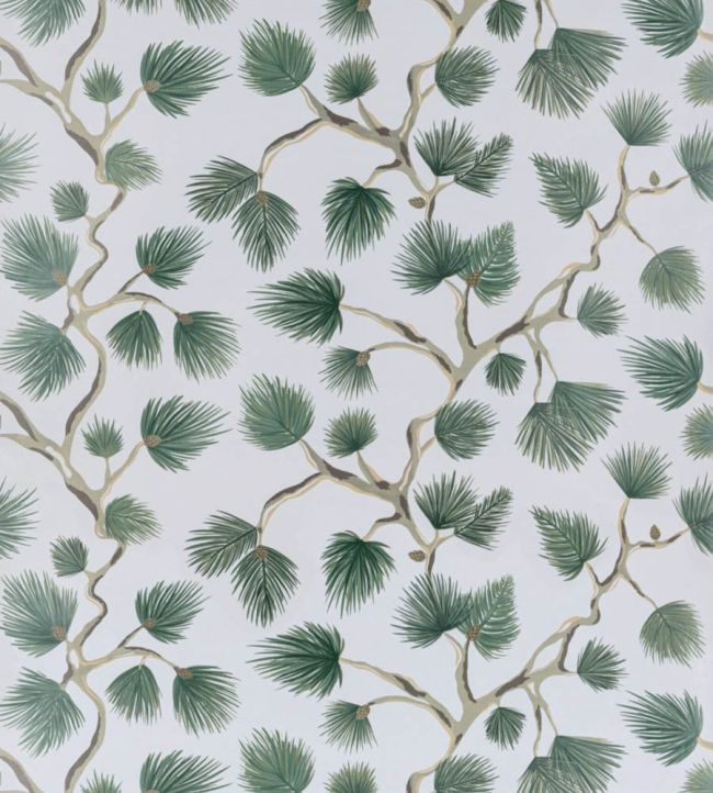 Pignoli Wallpaper by Scalamandre Evergreen
