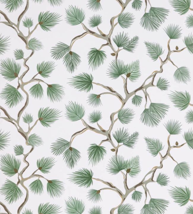 Pignoli Wallpaper by Scalamandre Fern