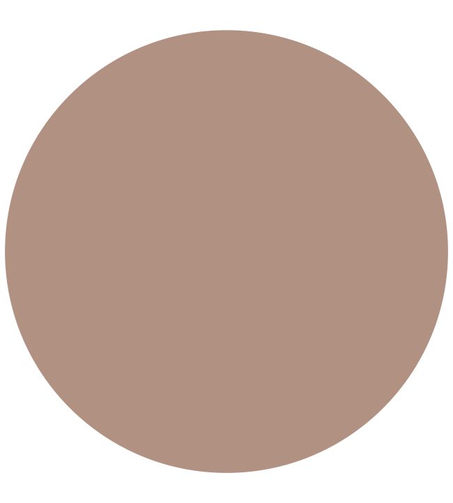 Pink Beige 1829 Chalky Emulsion Paint by Craig & Rose Pink Beige