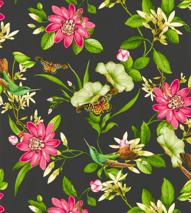 Pink Lotus Wallpaper by Clarke & Clarke Noir