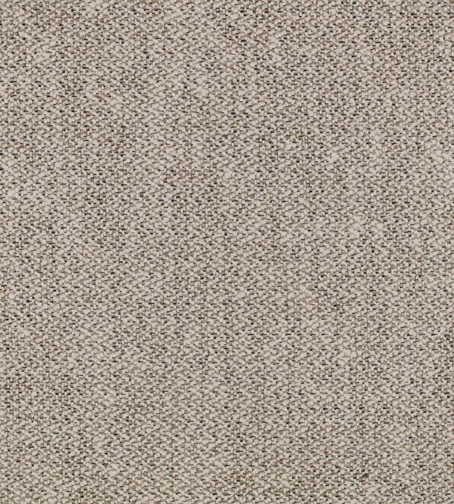 Piota Fabric by Black Edition Jicama