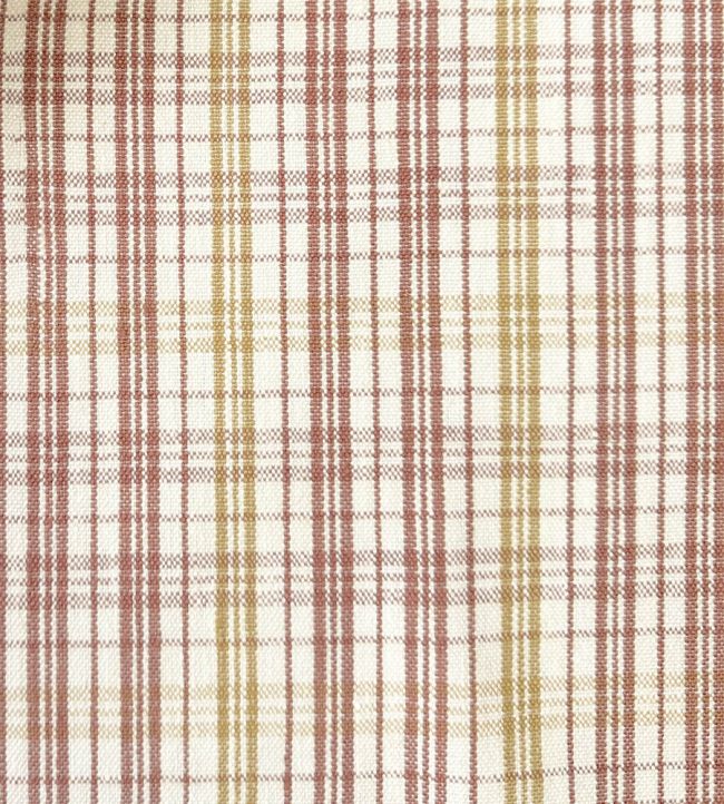 Pippin Check Fabric by Ian Sanderson Amber