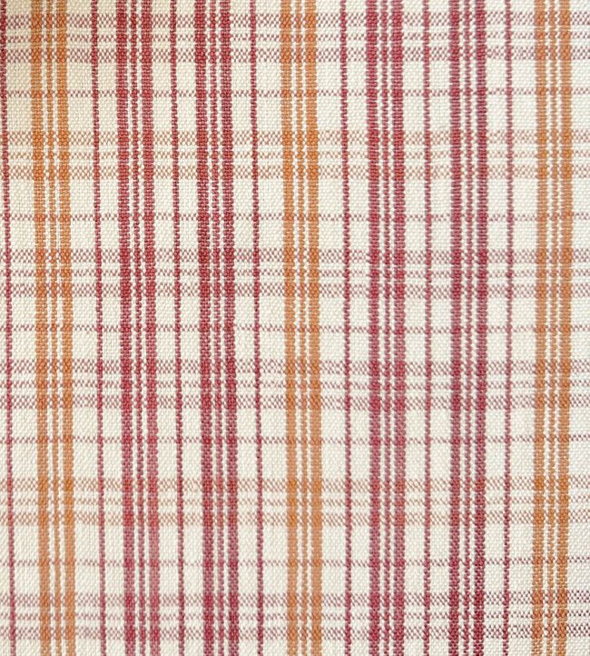 Pippin Check Fabric by Ian Sanderson Tamarind