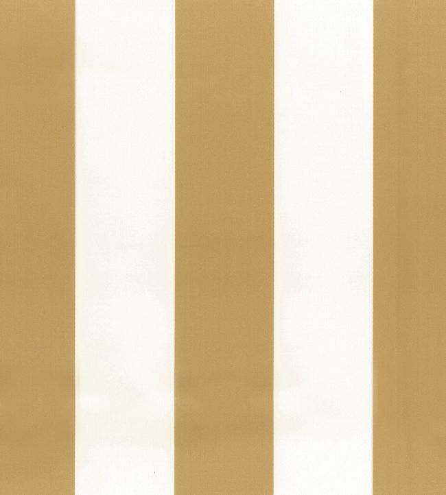 Pisa Stretto Fabric by Osborne & Little Amber
