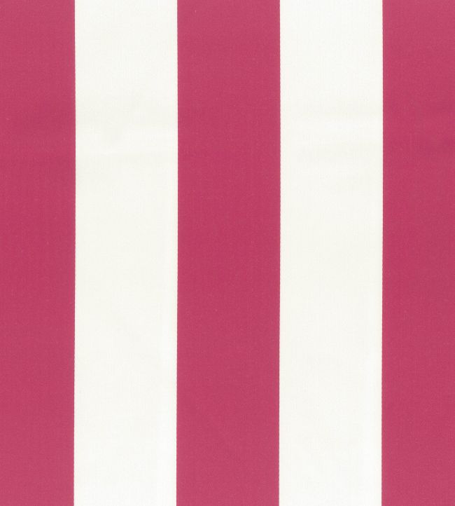 Pisa Stretto Fabric by Osborne & Little Azalea