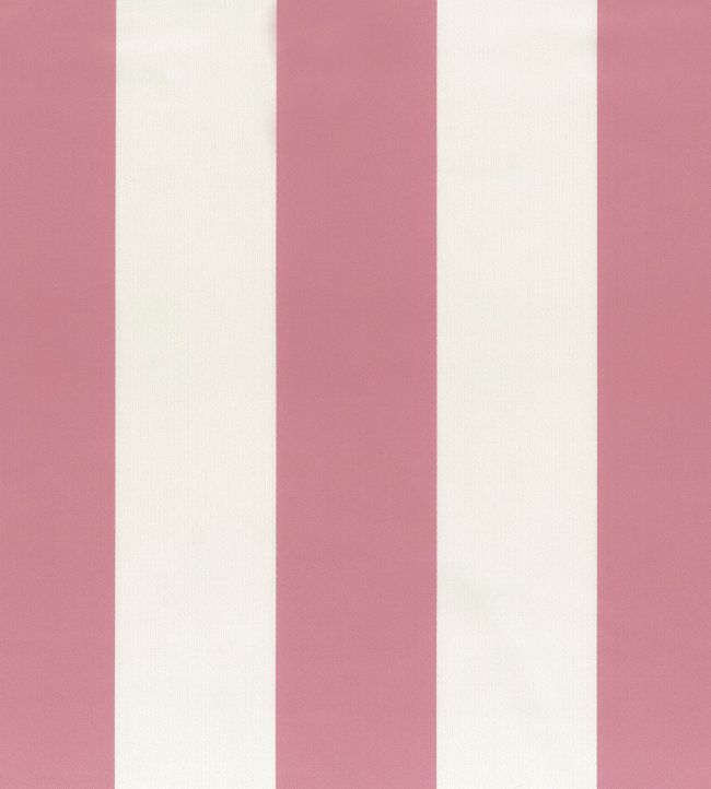 Pisa Stretto Fabric by Osborne & Little Blossom