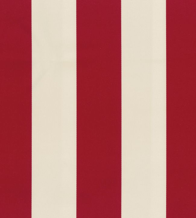 Pisa Stretto Fabric by Osborne & Little Carmine