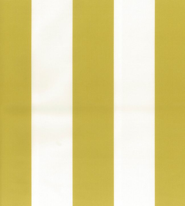 Pisa Stretto Fabric by Osborne & Little Chartreuse