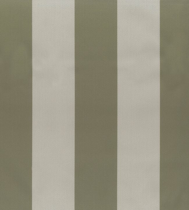 Pisa Stretto Fabric by Osborne & Little Forest